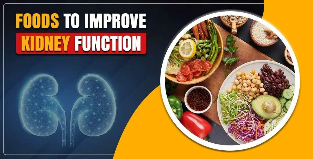 foods-to-improve-kidney-function